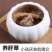 养肝草