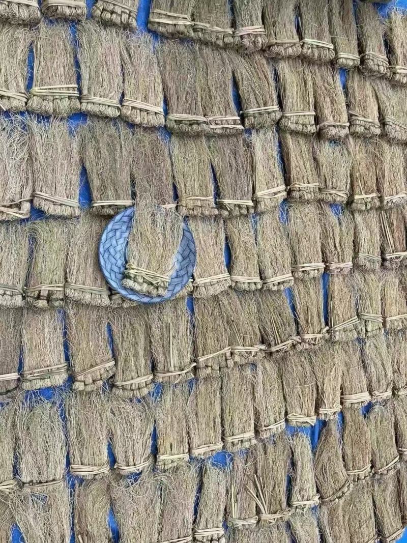 养肝草