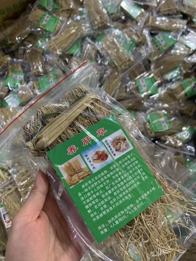 养肝草