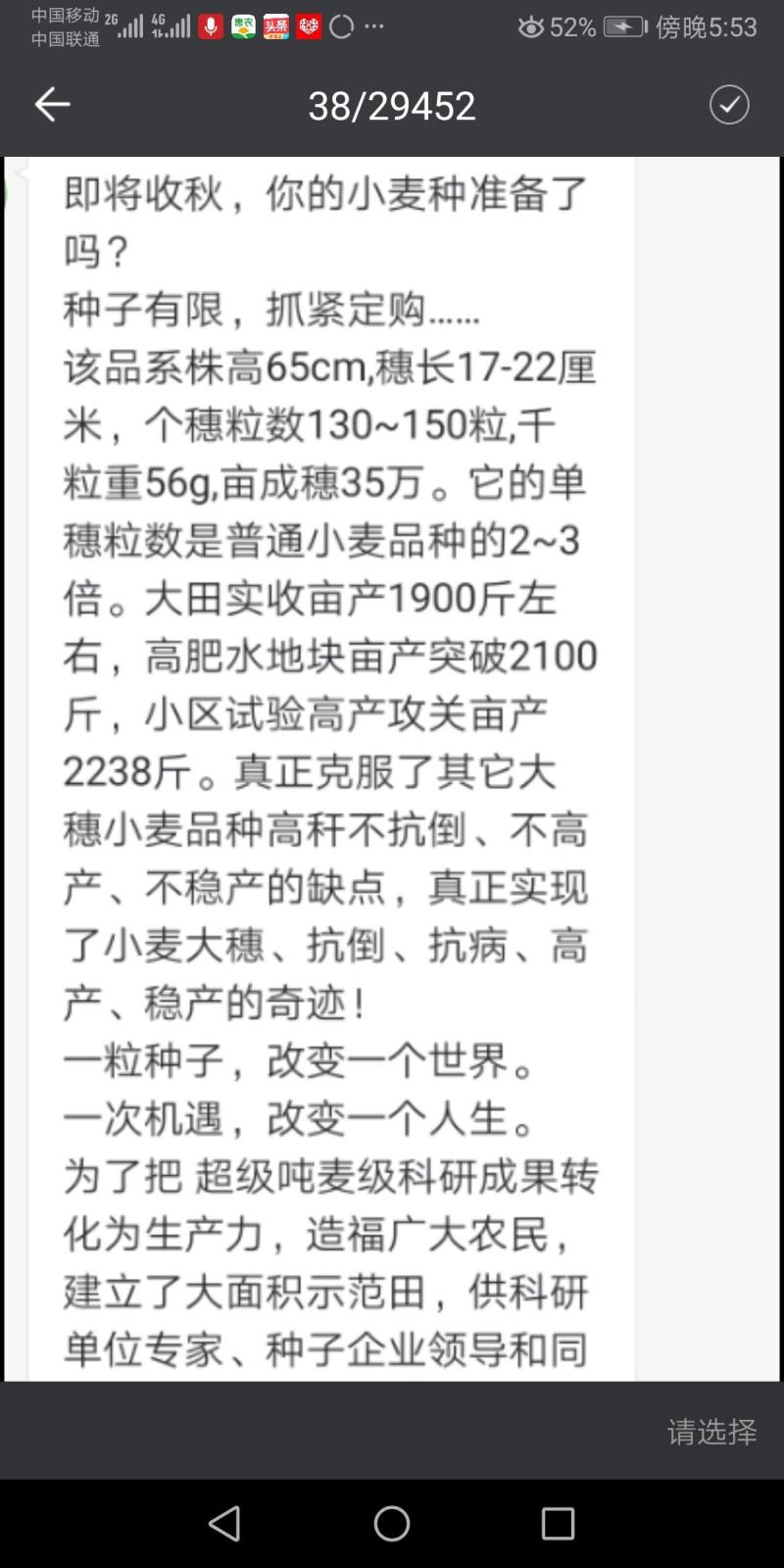 超大穂小麦种子，穗粒数130—150；连亩产两千三百多斤