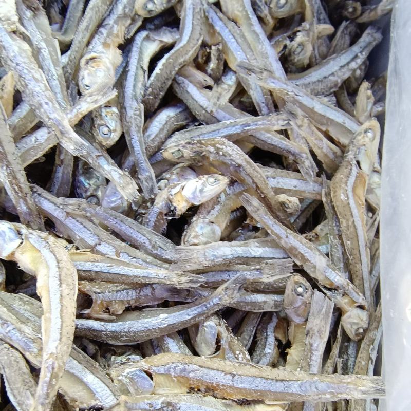 海燕鱼干
