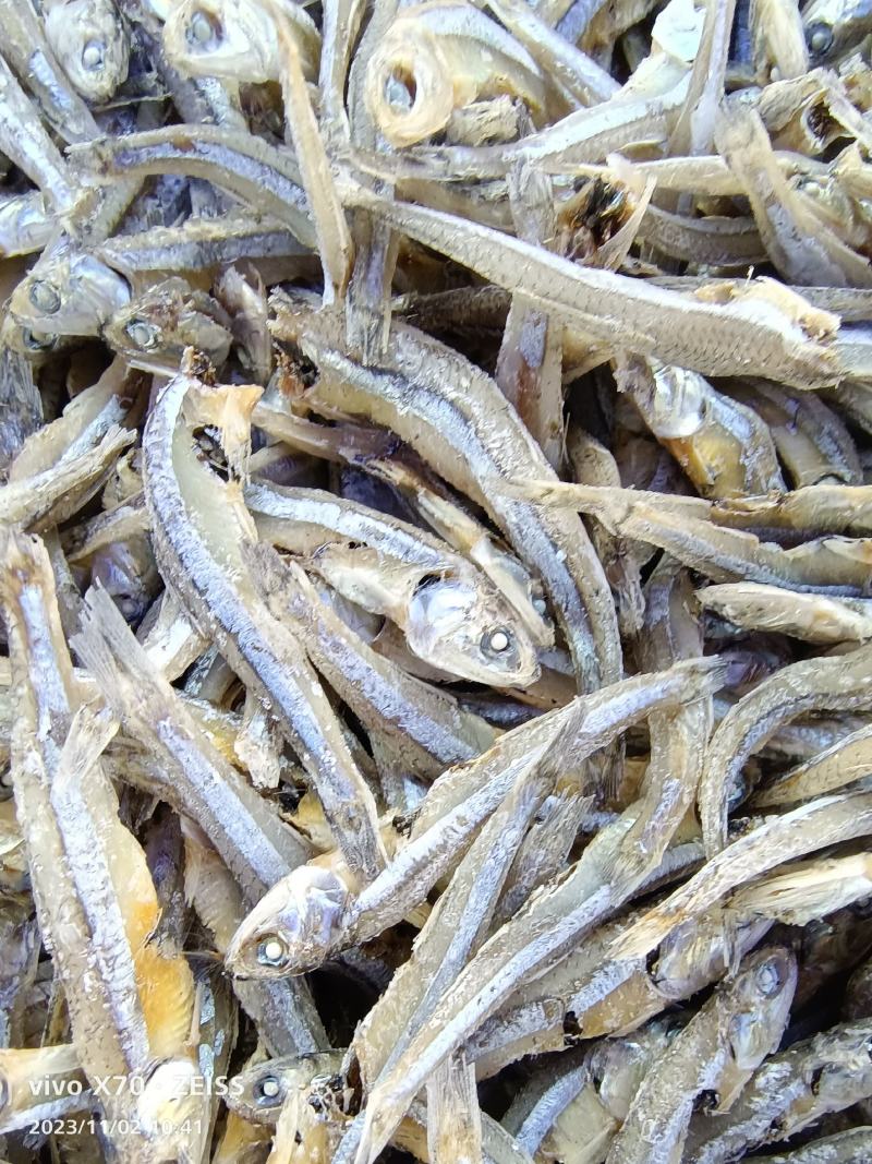 海燕鱼干