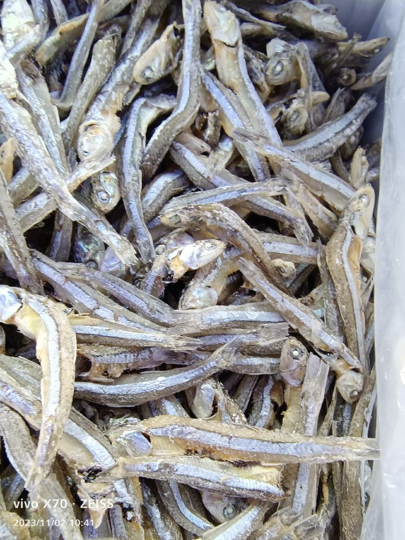 海燕鱼干