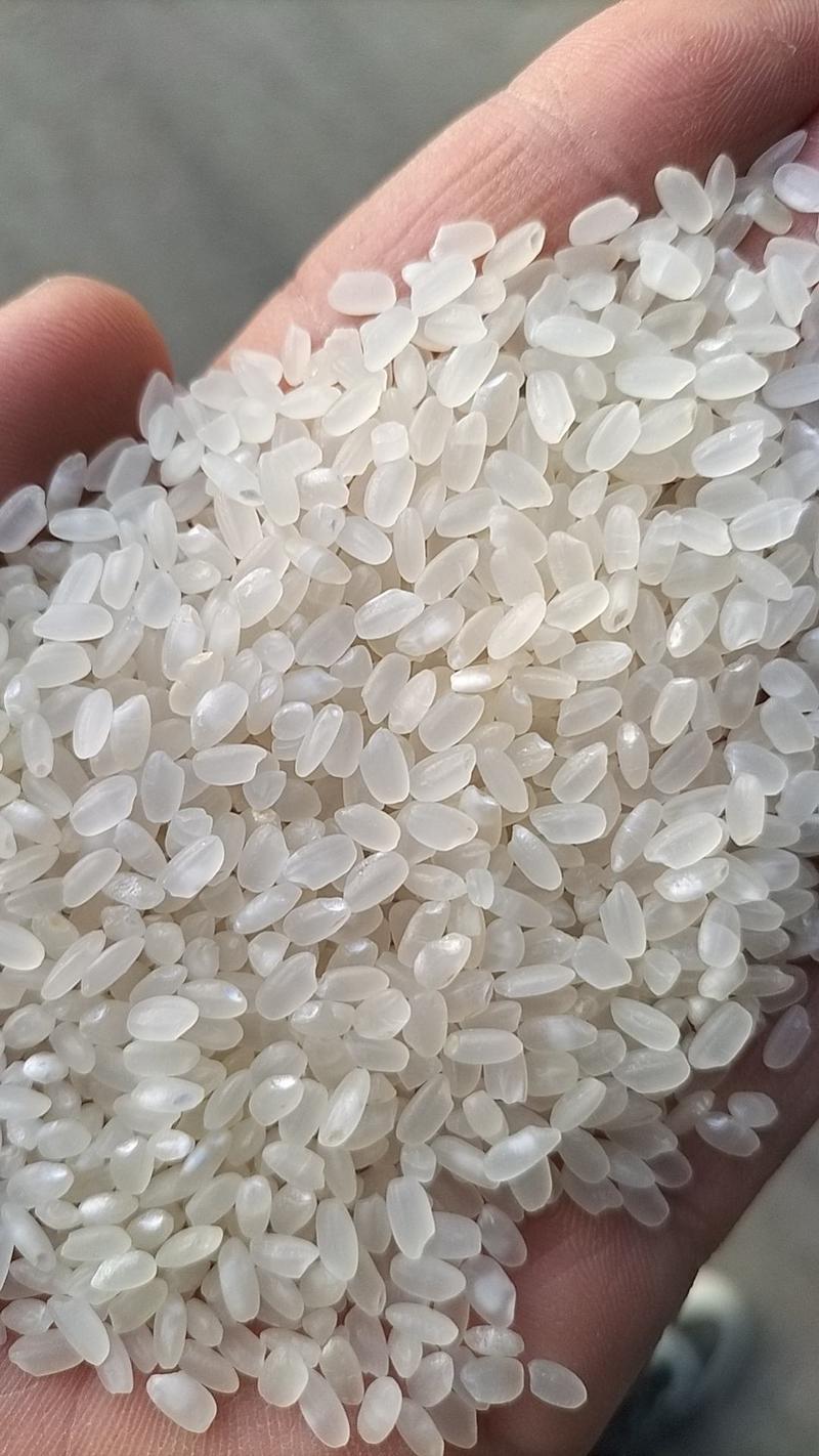 【优选推荐】珍珠米，2023年新米上市，厂家直销价格实惠
