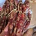 腊肠