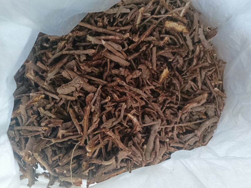 地骨皮