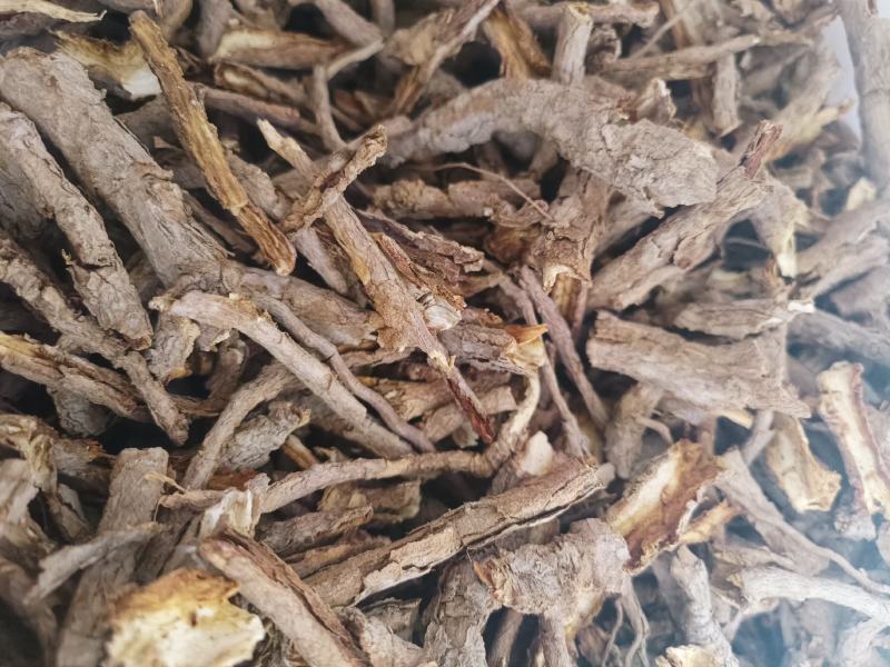 地骨皮
