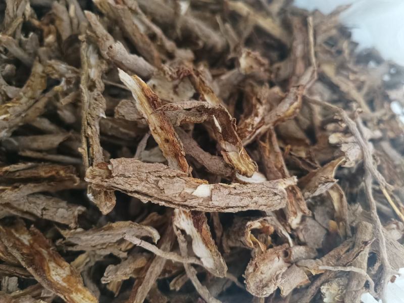 地骨皮