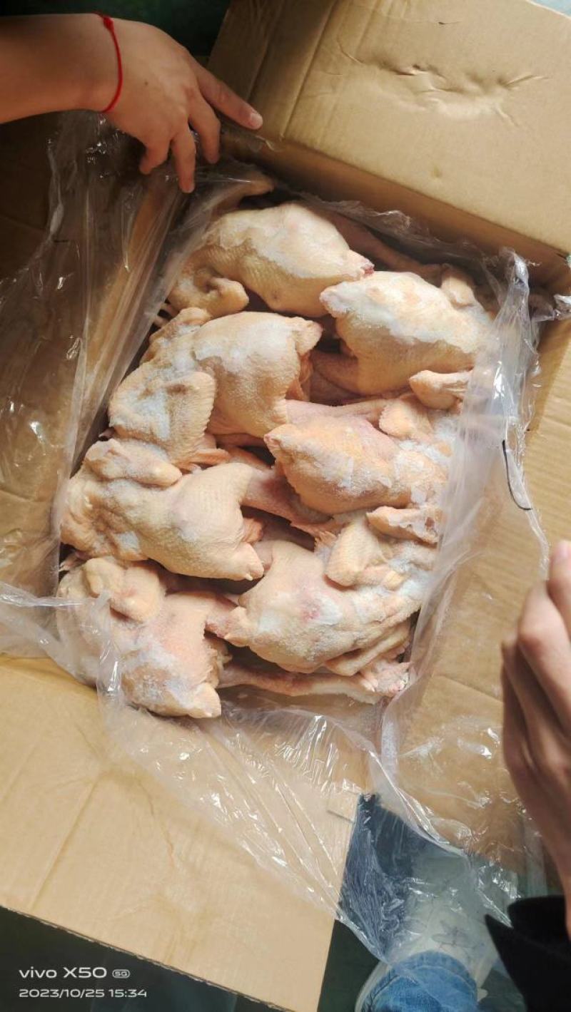 一级三黄鸡6-7-8-9只，厂家直发，需要来约，出品率没