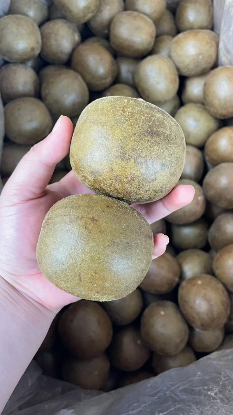 桂林罗汉果大果中小果独立包装破果