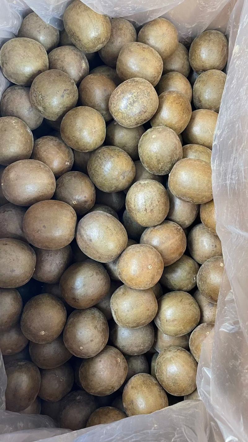桂林罗汉果大果中小果独立包装破果