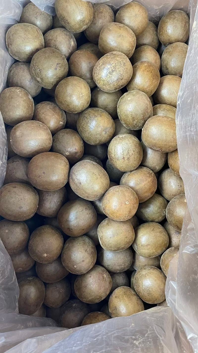 桂林罗汉果大果中小果独立包装破果