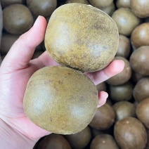 桂林罗汉果大果中小果独立包装破果