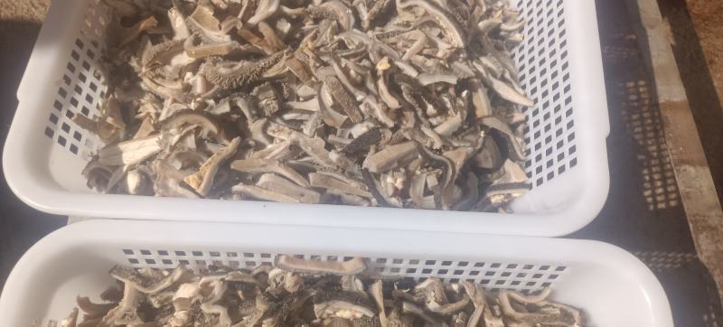 熟牛杂