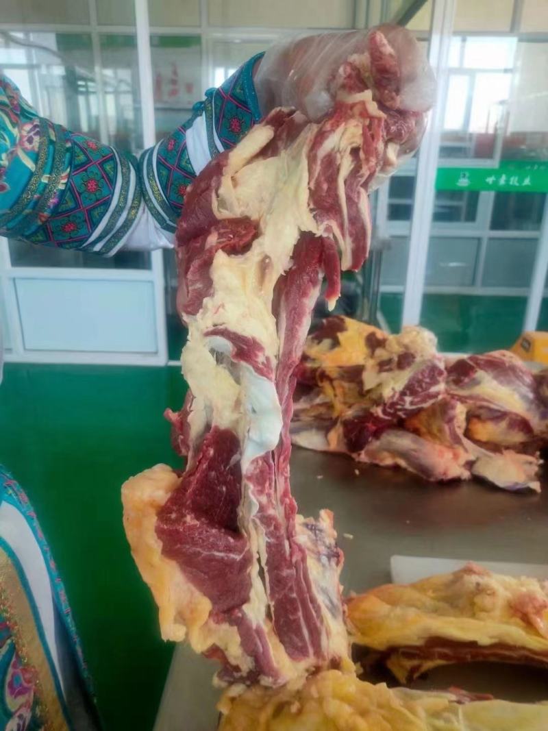 内蒙古—草原黄膘牛肉，每天现宰，只做品质，牧场直供