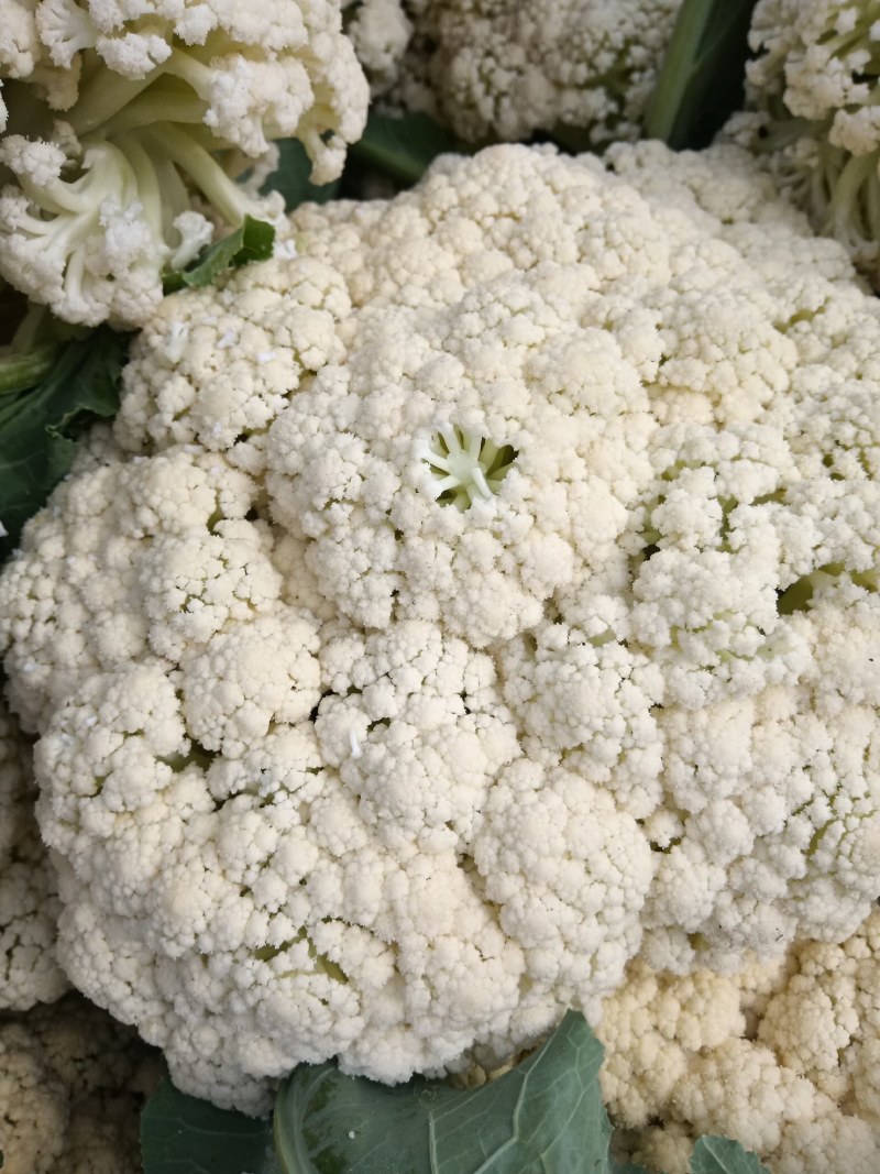 有机菜花大量上市客商电商有需要的联系我，