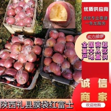 陕西礼泉膜袋冰糖心红富士，欢迎四方客商，电商产地直发。