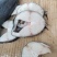阿拉斯加黑鳕鱼银鳕鱼