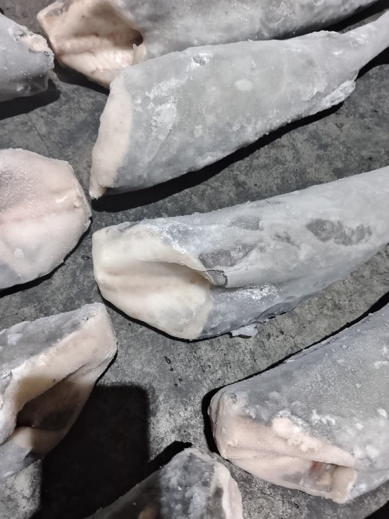 阿拉斯加黑鳕鱼银鳕鱼