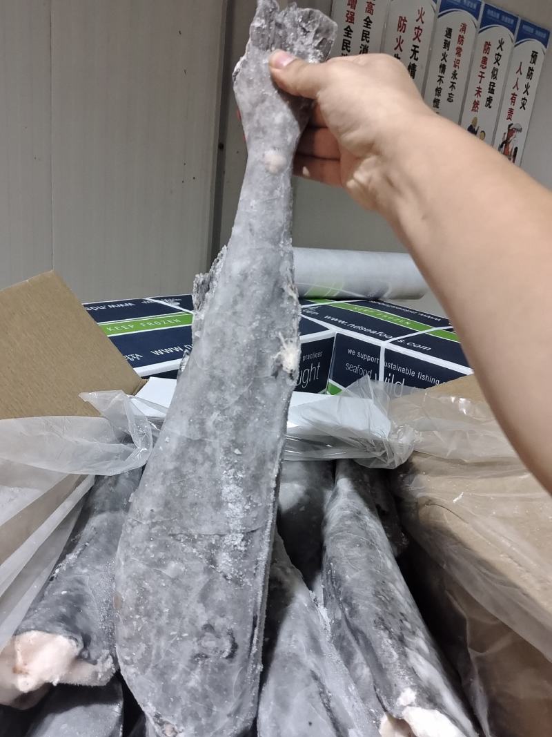 阿拉斯加黑鳕鱼银鳕鱼