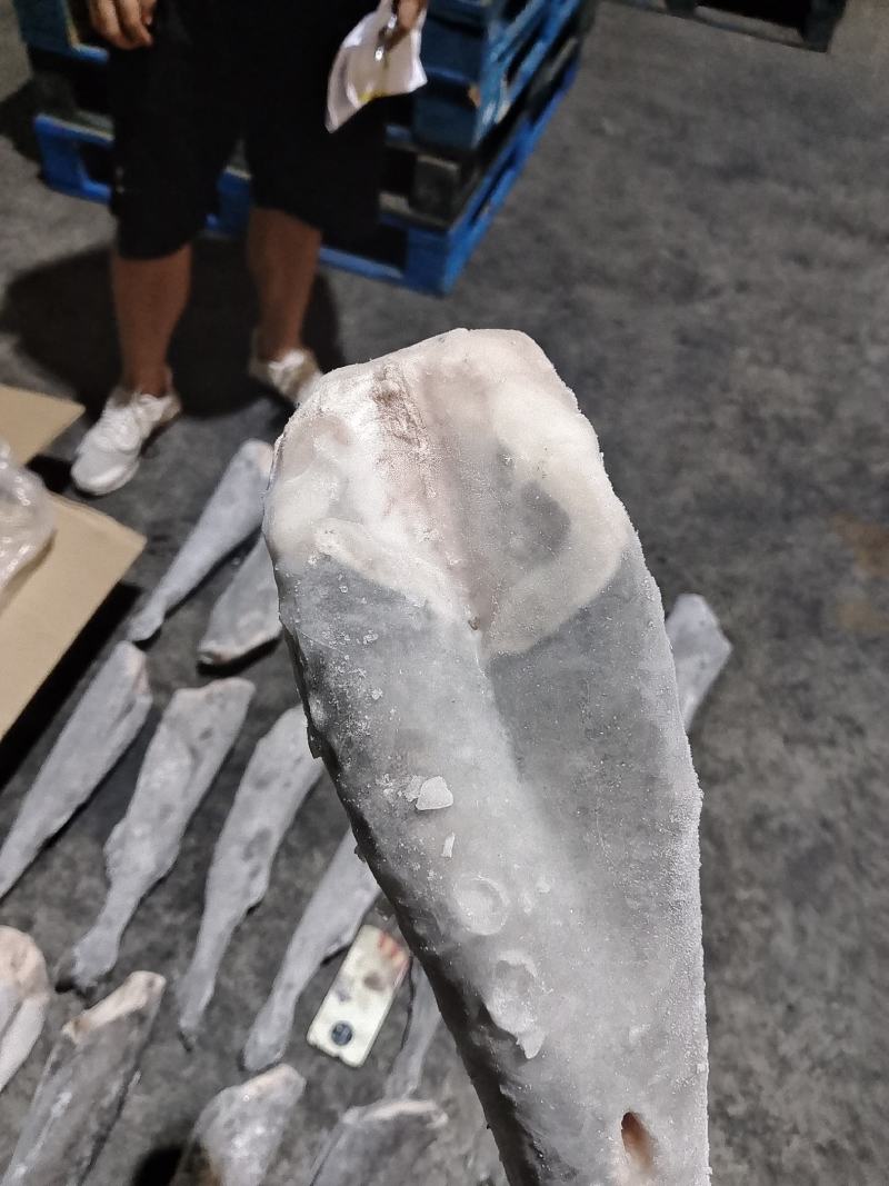 阿拉斯加黑鳕鱼银鳕鱼