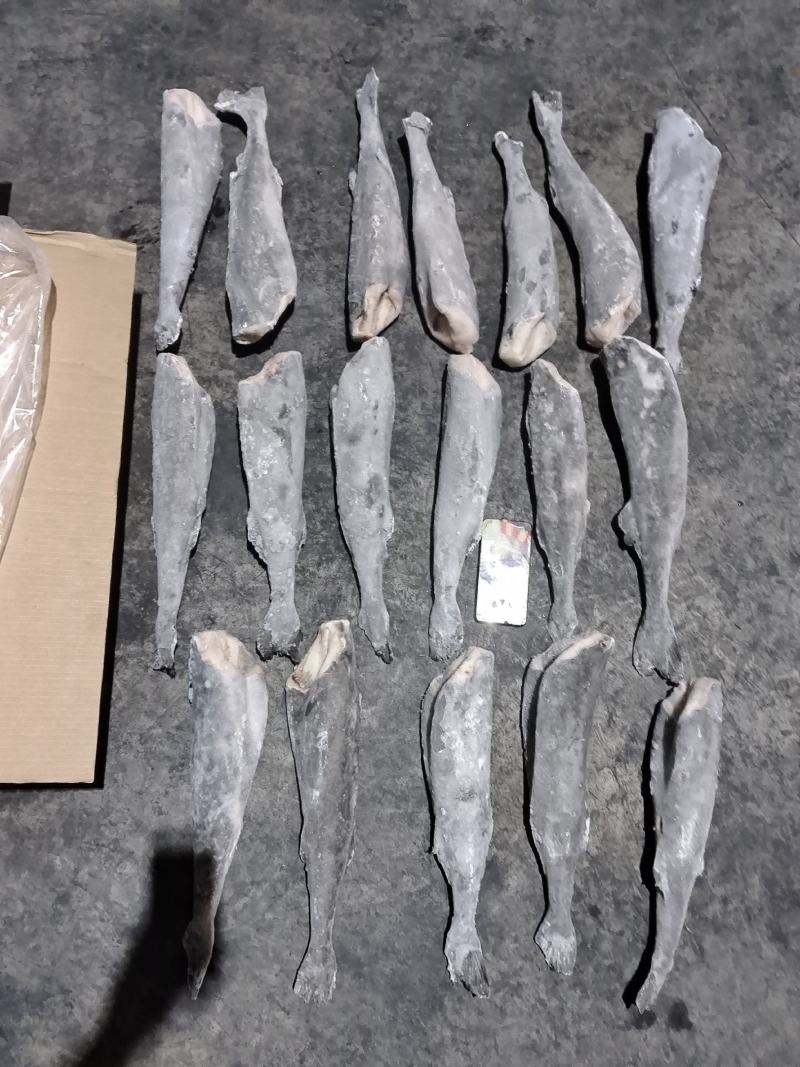 阿拉斯加黑鳕鱼银鳕鱼