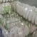 精品白萝卜量大从优一条龙服务，欢迎新老客户选购