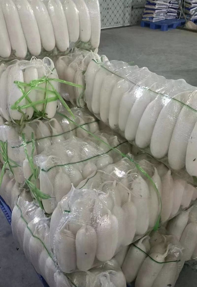 精品白萝卜量大从优一条龙服务，欢迎新老客户选购