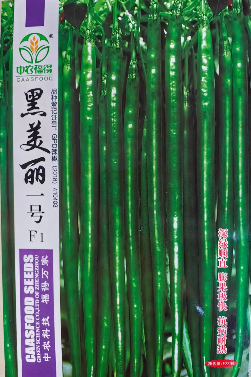 黑线椒种子中农福得黑美丽一号加长特长耐热深绿线椒辣椒种子