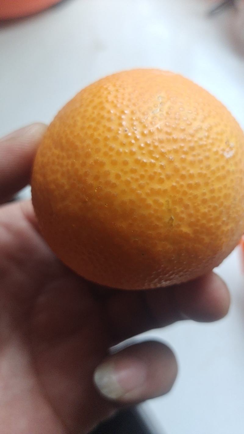 好货大量