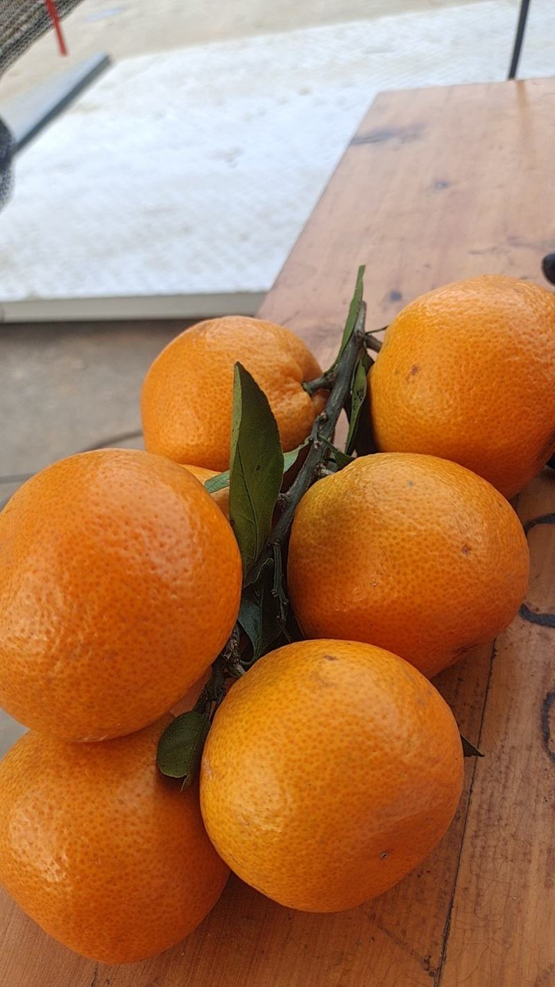 好货大量