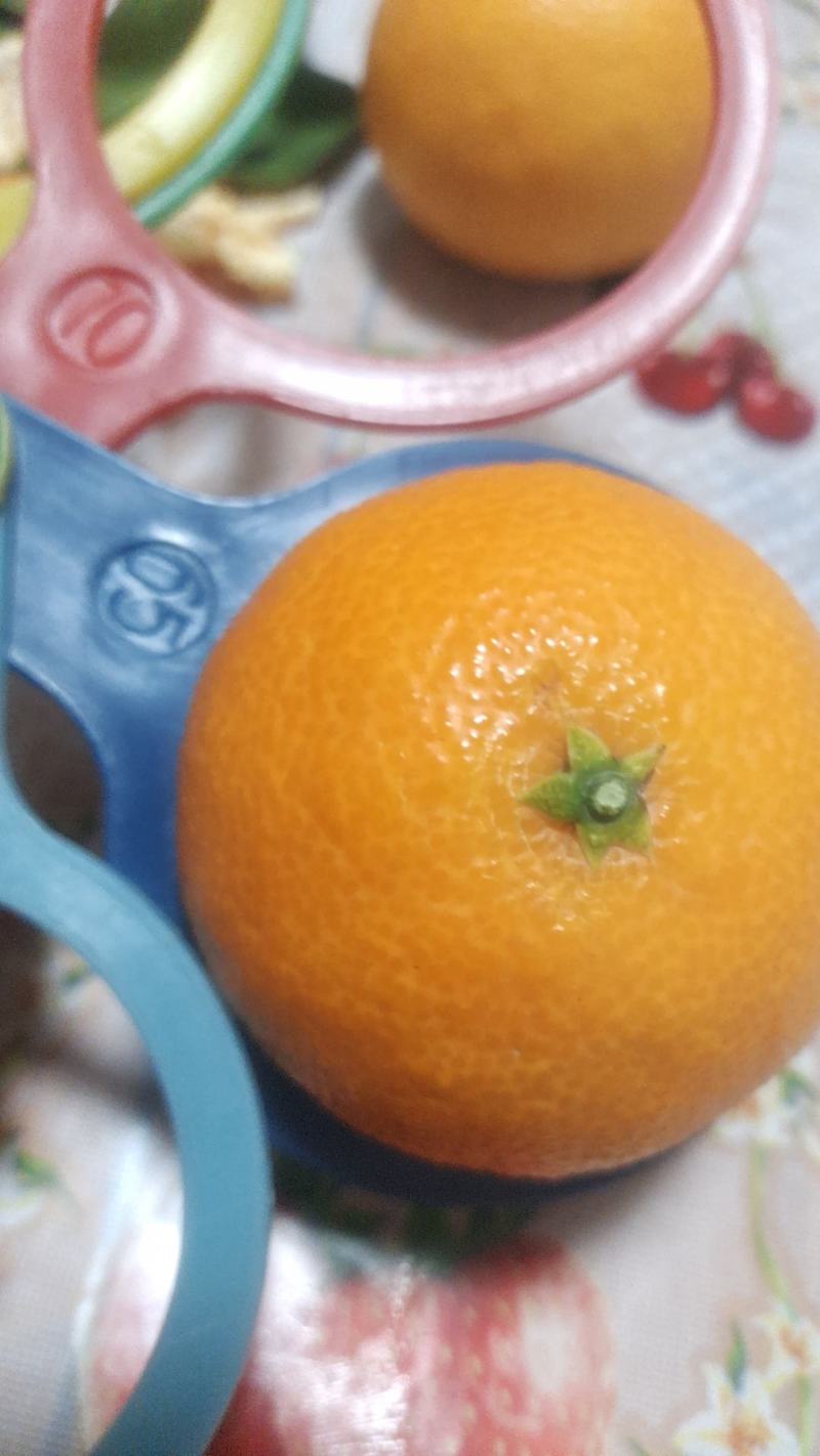 好货大量