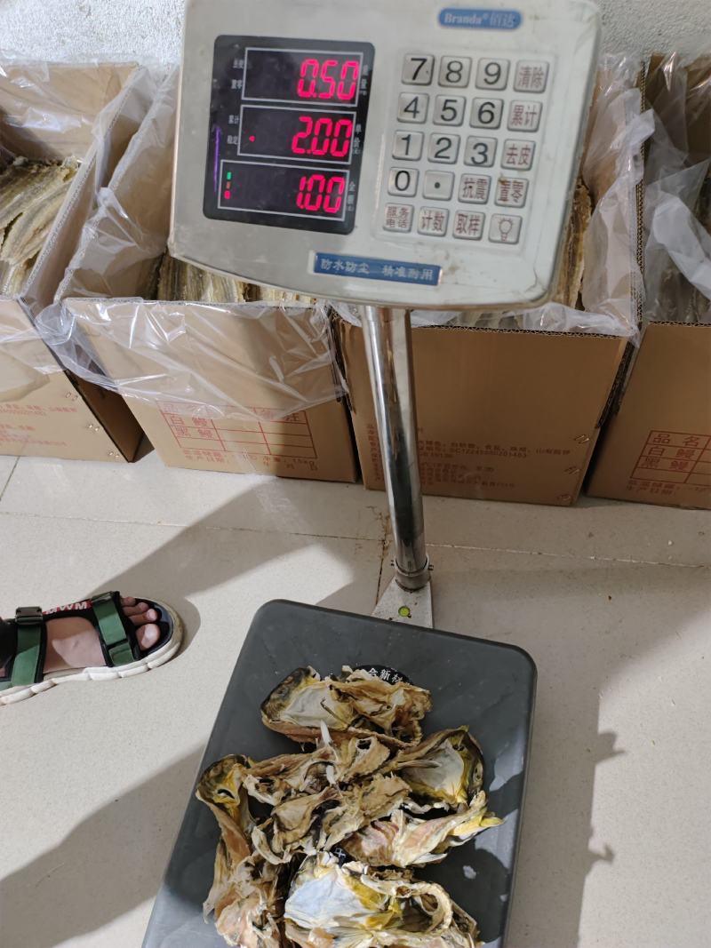 足干河豚