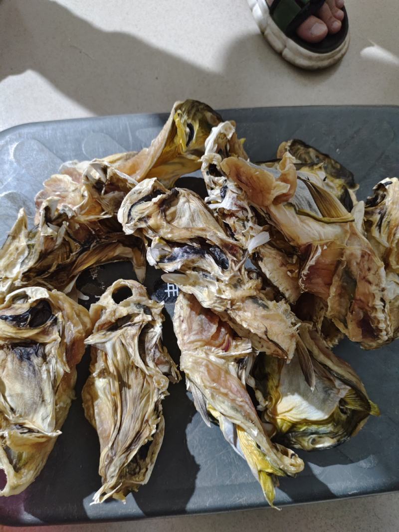 足干河豚