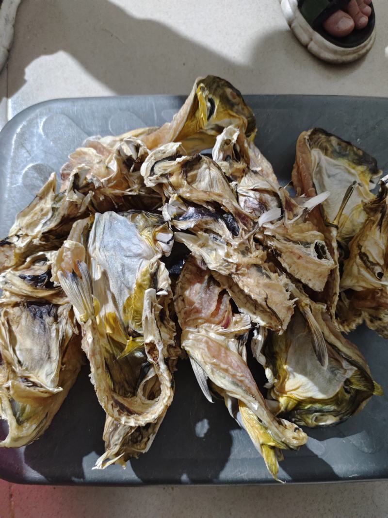 足干河豚