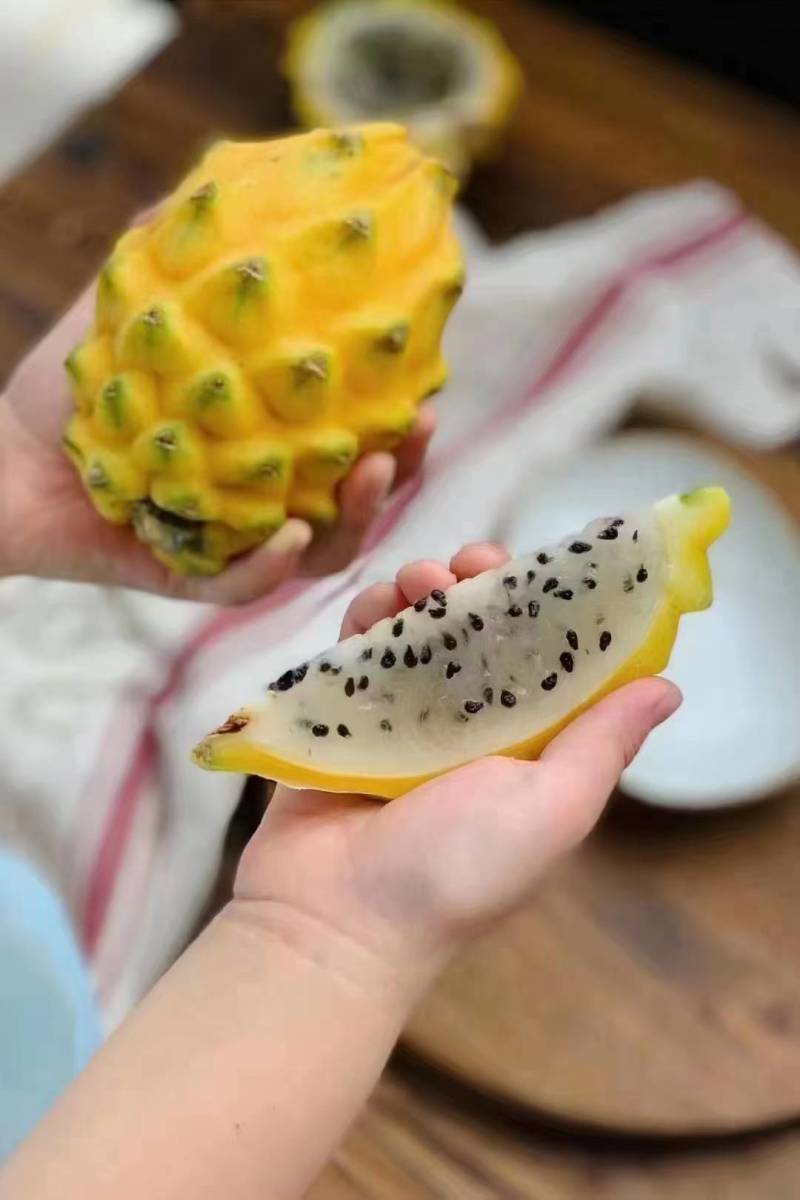 版纳燕窝果