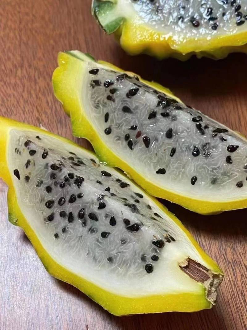 版纳燕窝果