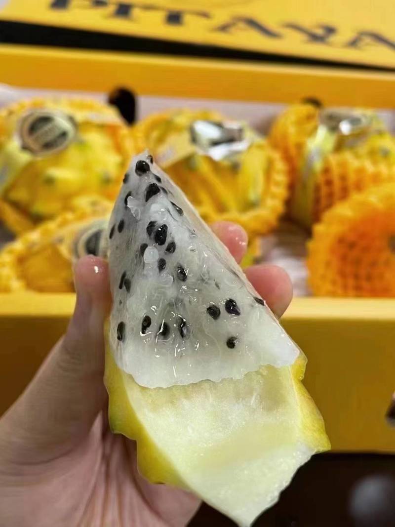 版纳燕窝果
