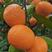 四川蜜橘，树上鲜果，质量保证，9月中旬上市，预售期