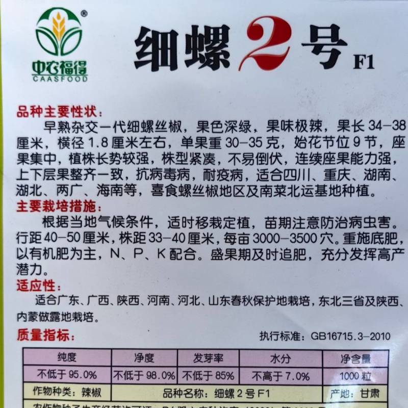 细螺2号辣椒种子黑深绿皮细螺丝线椒特辣极辣特长辣线椒种子