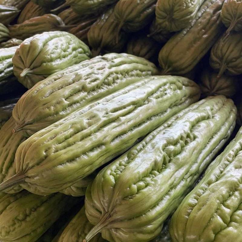 【推荐】广东苦瓜上市产地直发，量大价优欢迎来电