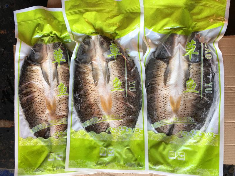 腌制草鱼真空独立包装鲜活速冻鲜活看得见
