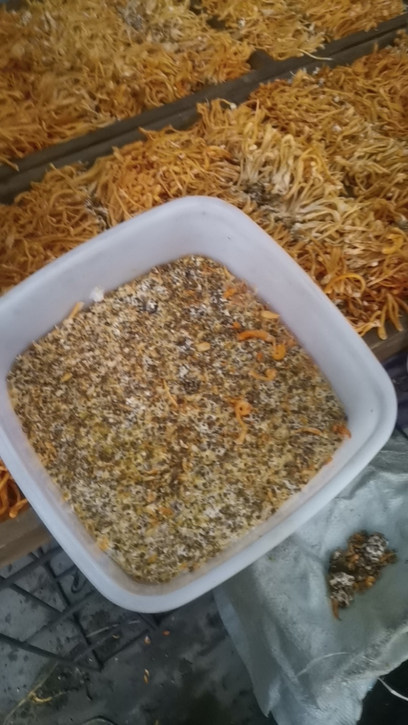 小麦虫草花培养基发酵饲料原料欢迎老板电话联系