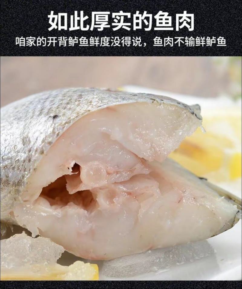 开背鲈鱼，郑州物流港出货