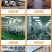 2024新东北冻梨东北大冻梨冷冻延吉苹果梨