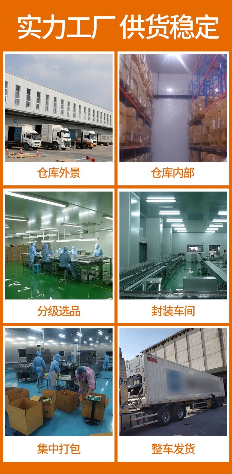 2024新东北冻梨东北大冻梨冷冻延吉苹果梨