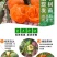果园直发柿子树苗太秋阳丰甜脆柿火晶柿，黑柿保证品种