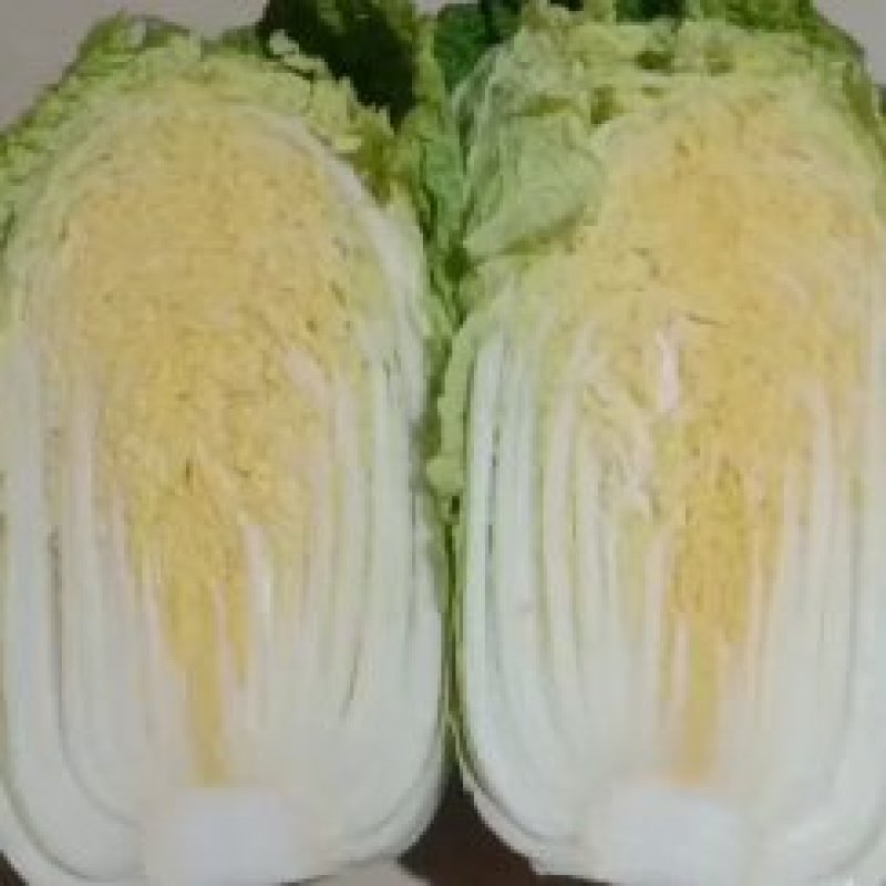 精品黄心小娃娃菜上市中
