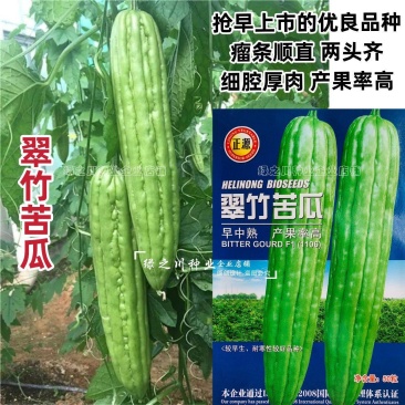 南方热销正源翠竹苦瓜种子高产大肉绿苦瓜种子耐寒早熟性好