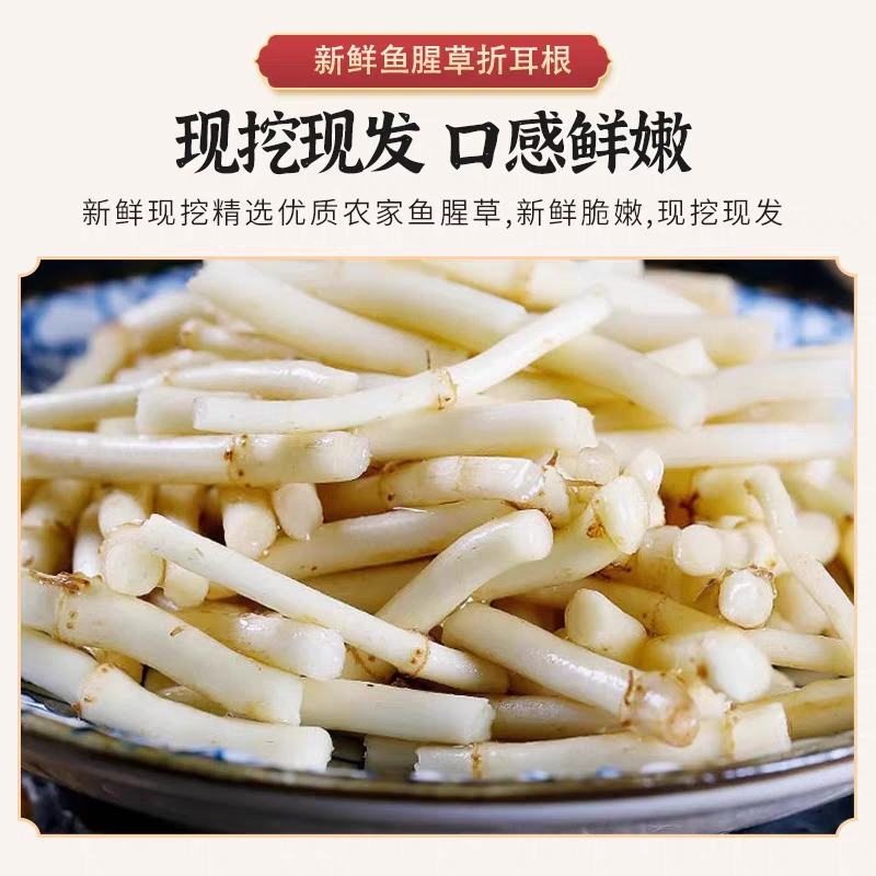 鱼腥草节节根产地一手货源保质保量量大从优